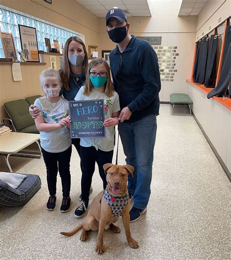 Humane society of macomb adoption - The Humane Society of Charlotte believes in a no-fault return. If you are unable to keep your animal, that is OK. We want both you and the animal to be ...